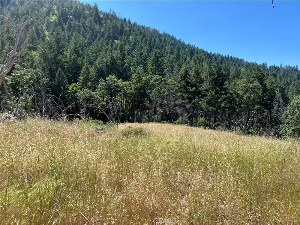 20925 Mid Mountain (17N17 USFS) Road Upper Lake, CA 95469