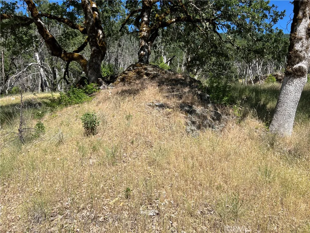 20925 Mid Mountain (17N17 USFS) Road Upper Lake, CA 95469