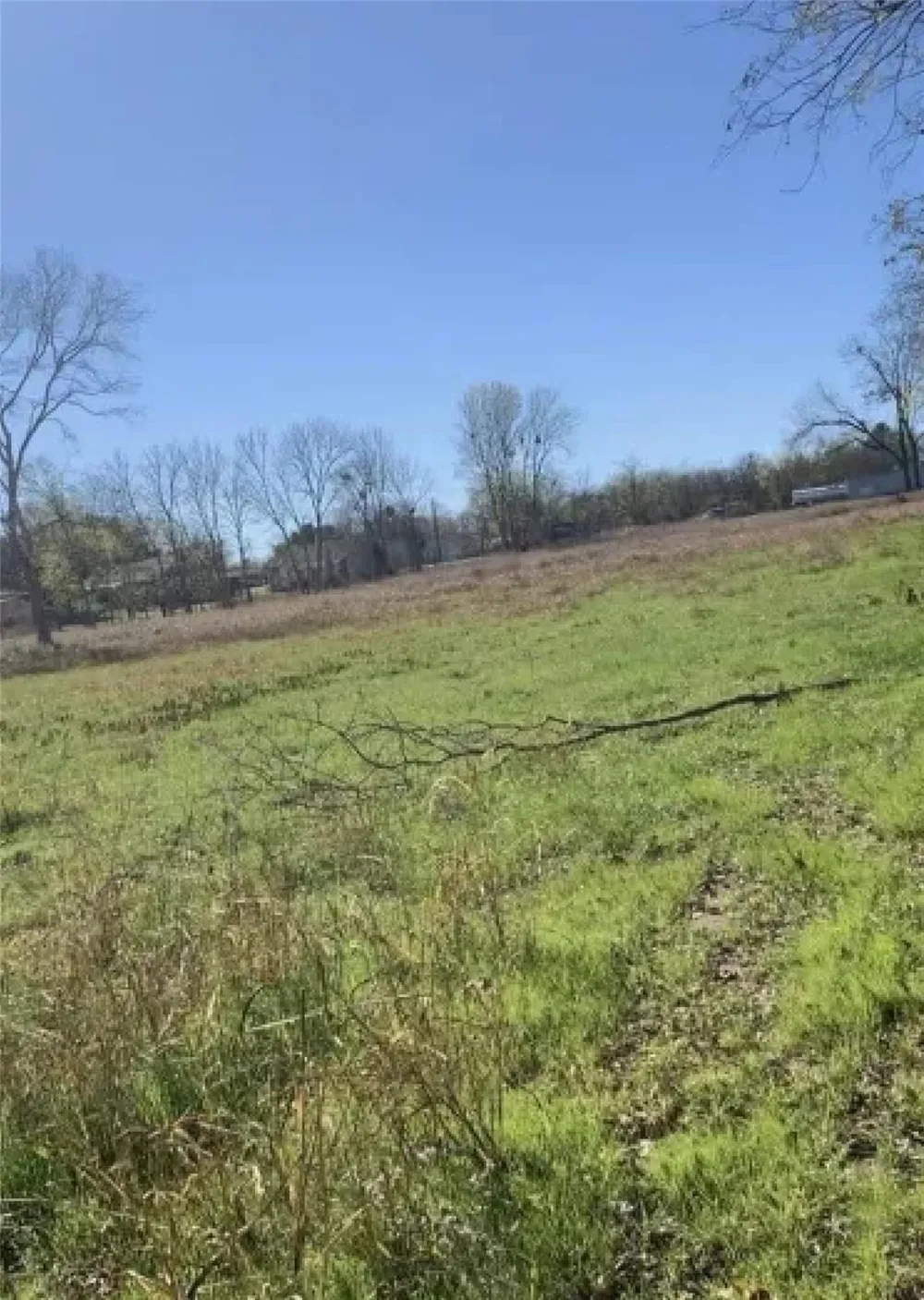 700 May Street Madisonville, TX 77864