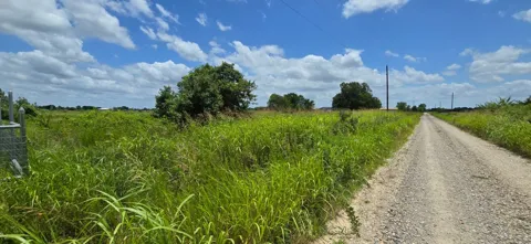 County Road 1155 Road