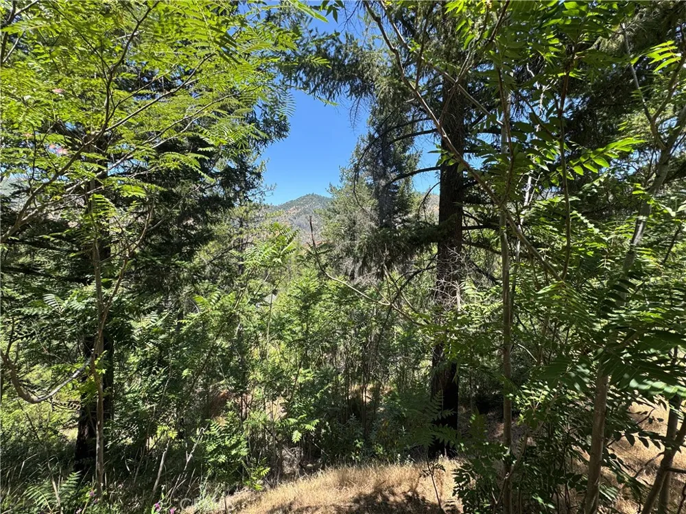 80 Rasmusen Lane Junction City, CA 96048