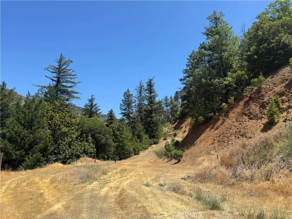 80 Rasmusen Lane Junction City, CA 96048