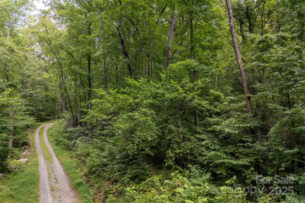 * Green River Cove Road Saluda, NC 28773