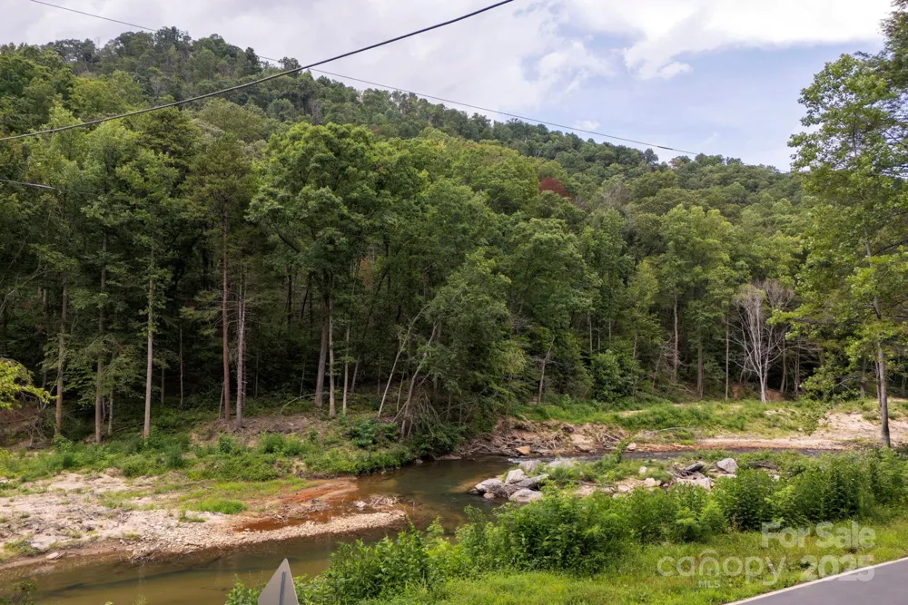 * Green River Cove Road Saluda, NC 28773