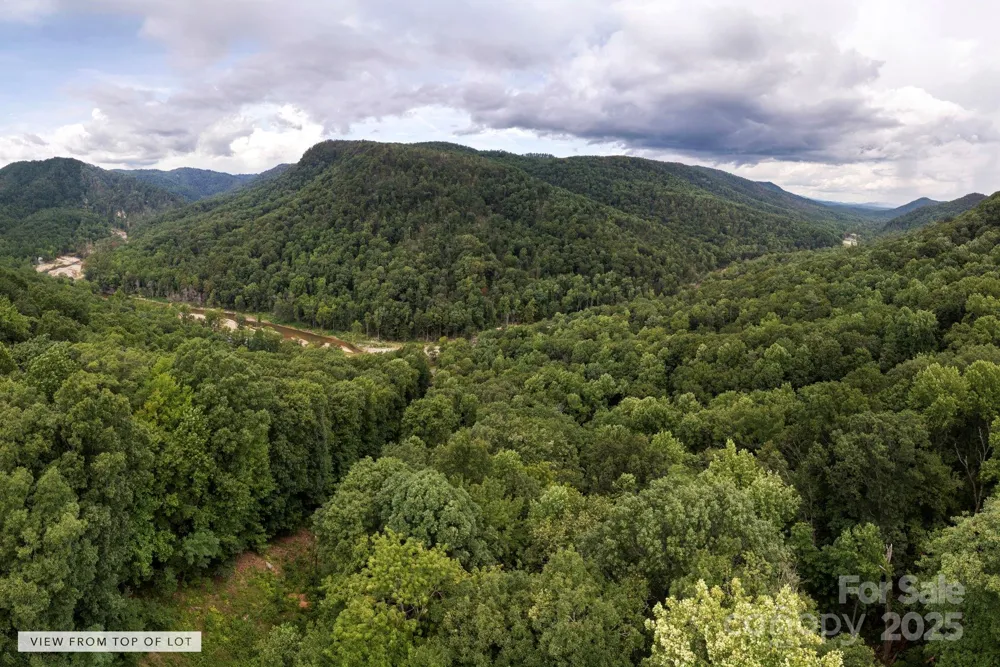 * Green River Cove Road Saluda, NC 28773