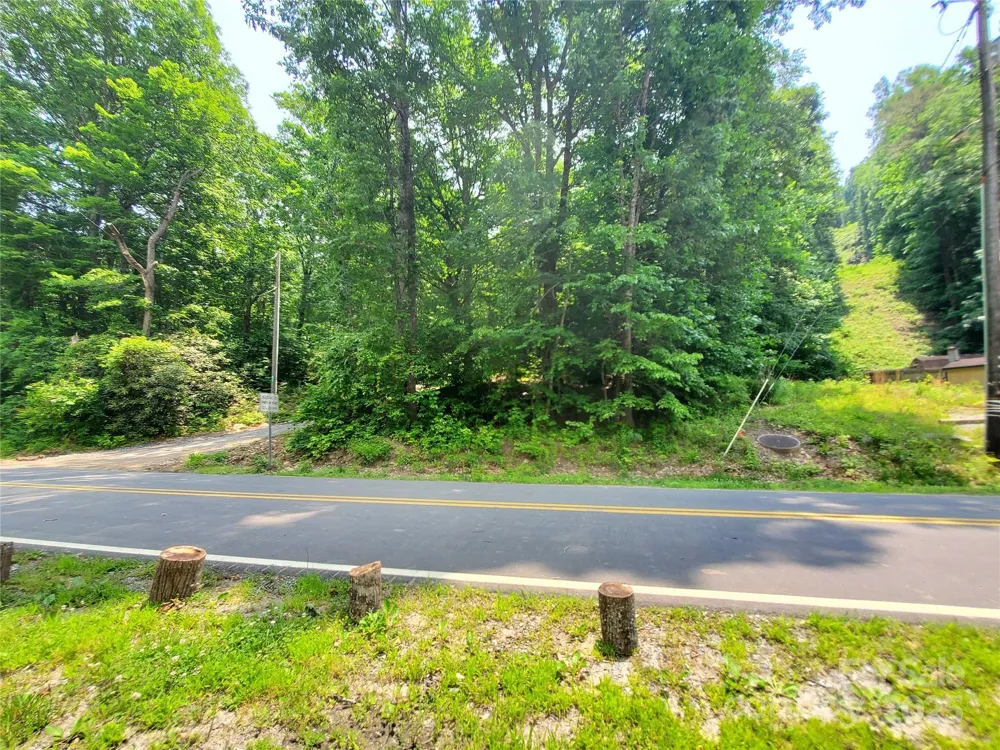 * Green River Cove Road Saluda, NC 28773