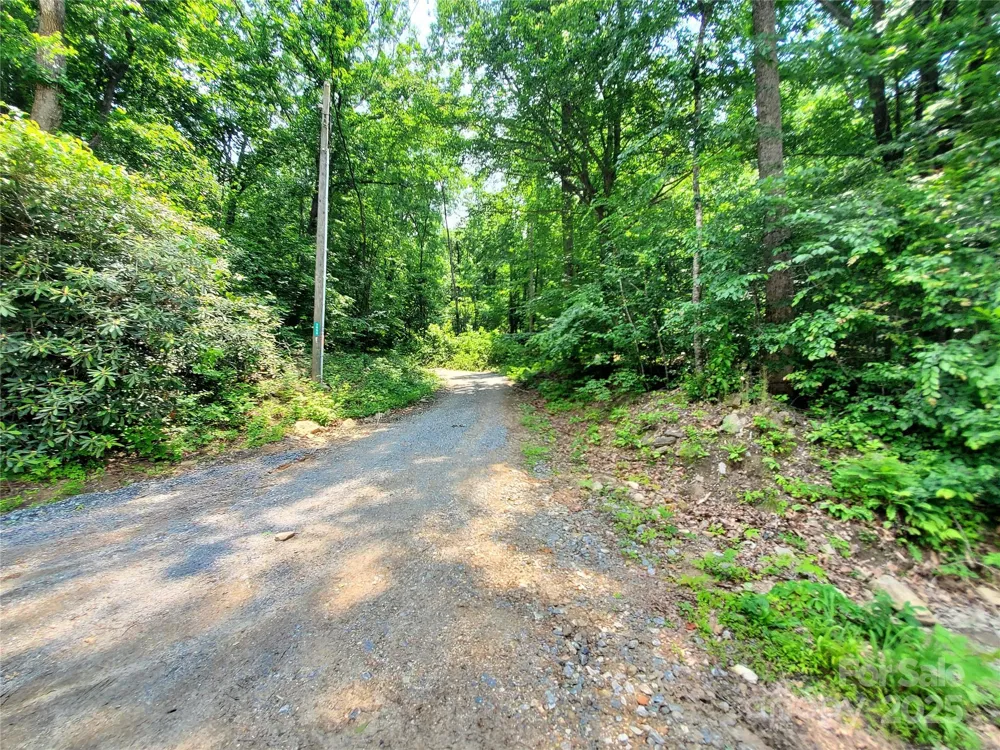 * Green River Cove Road Saluda, NC 28773