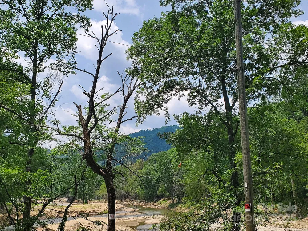 * Green River Cove Road Saluda, NC 28773