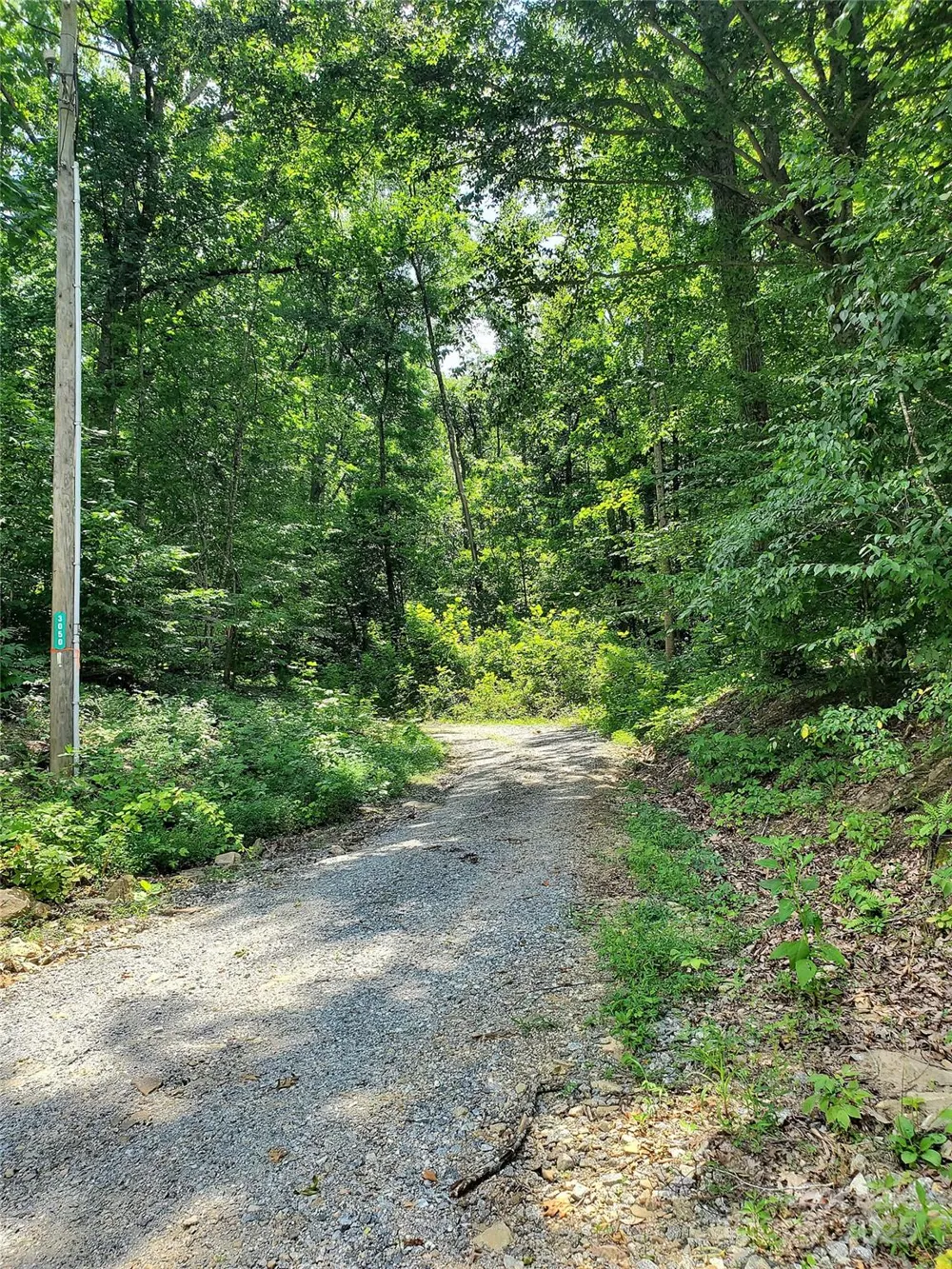 * Green River Cove Road Saluda, NC 28773
