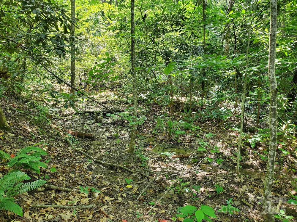 * Green River Cove Road Saluda, NC 28773