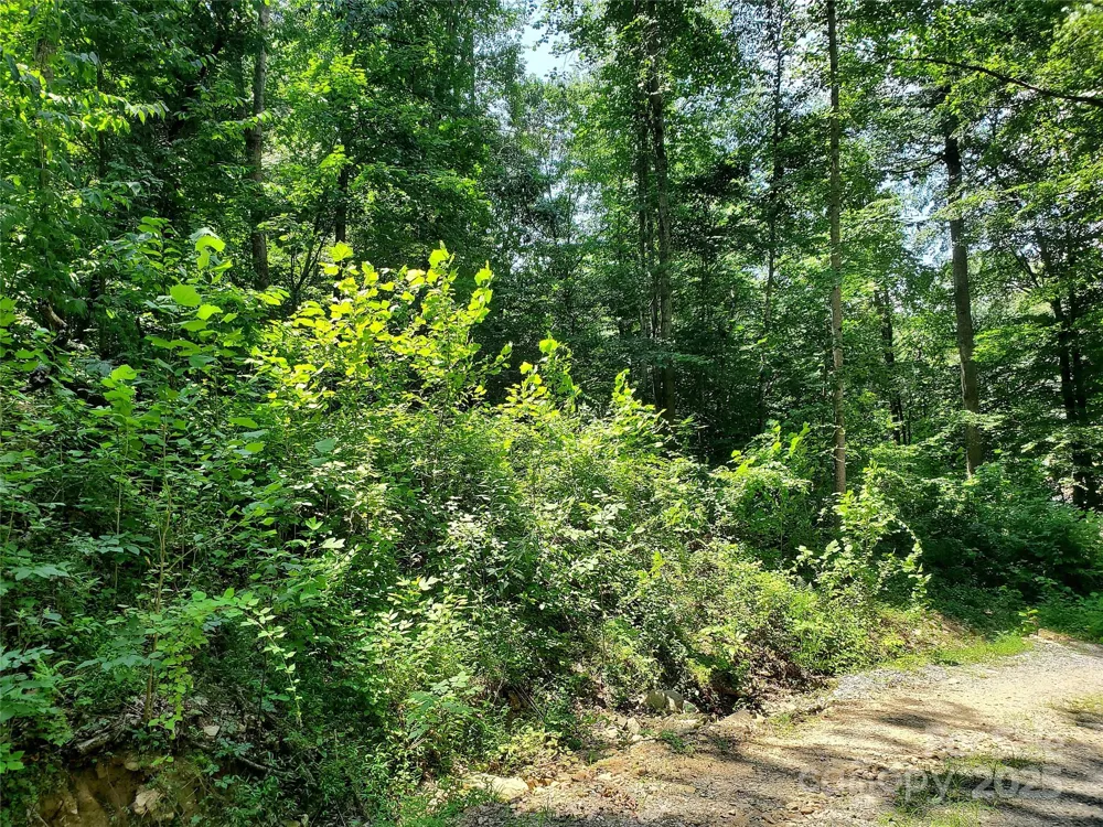 * Green River Cove Road Saluda, NC 28773