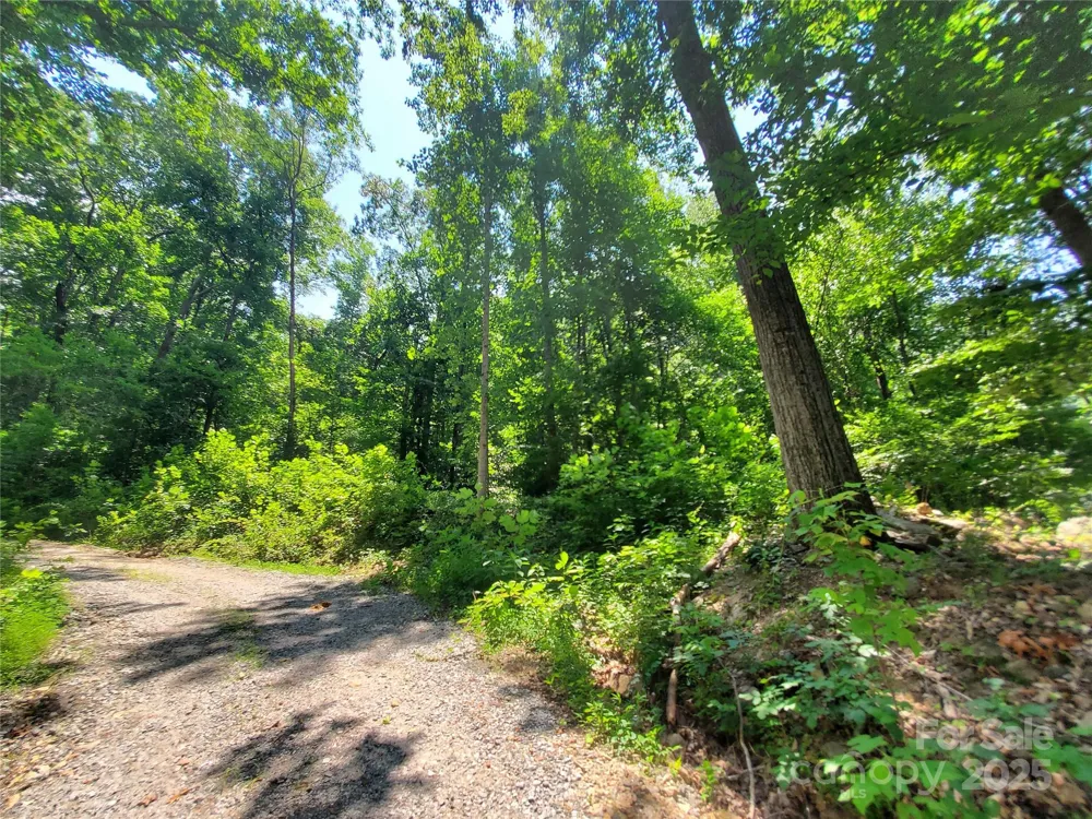 * Green River Cove Road Saluda, NC 28773