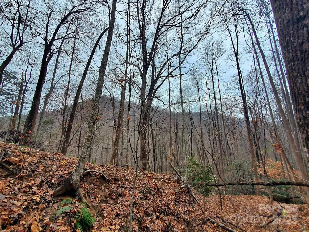 * Green River Cove Road Saluda, NC 28773
