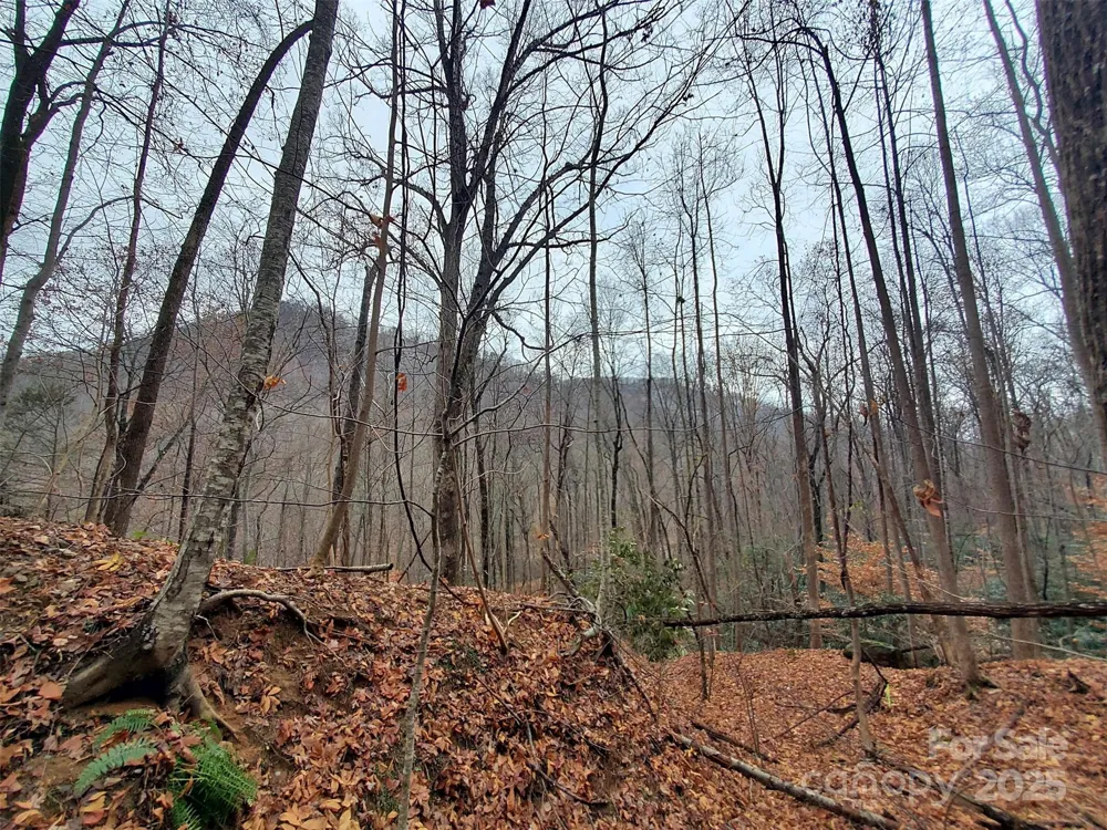 * Green River Cove Road Saluda, NC 28773