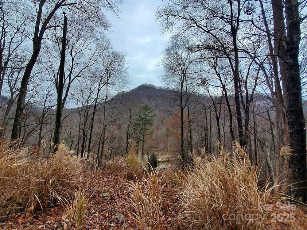 * Green River Cove Road Saluda, NC 28773