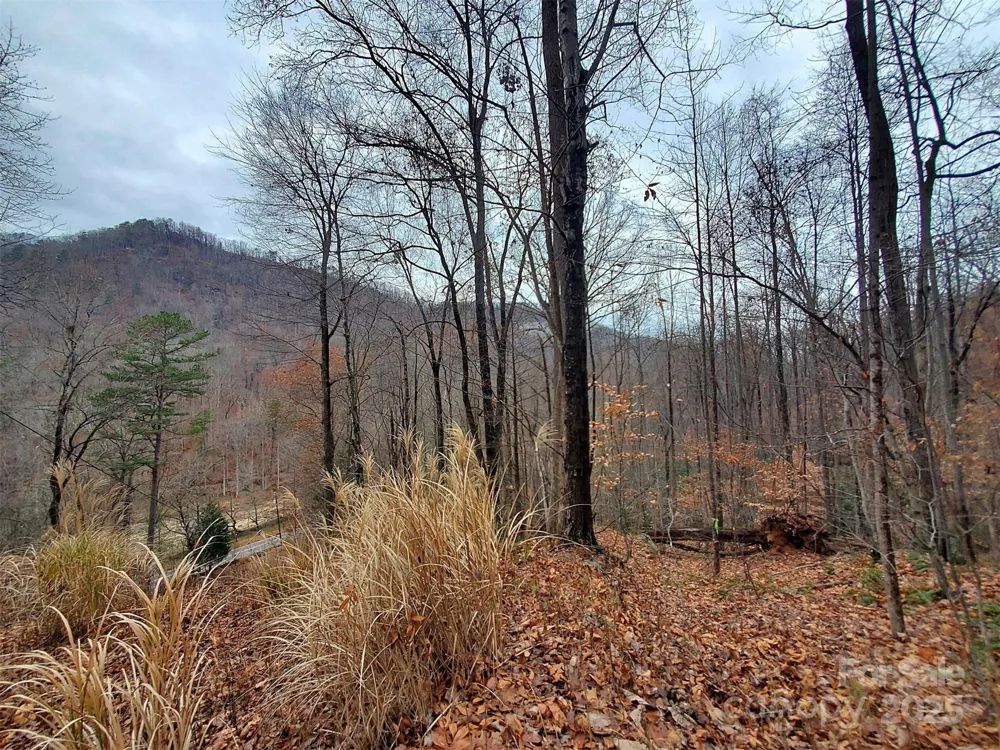 * Green River Cove Road Saluda, NC 28773