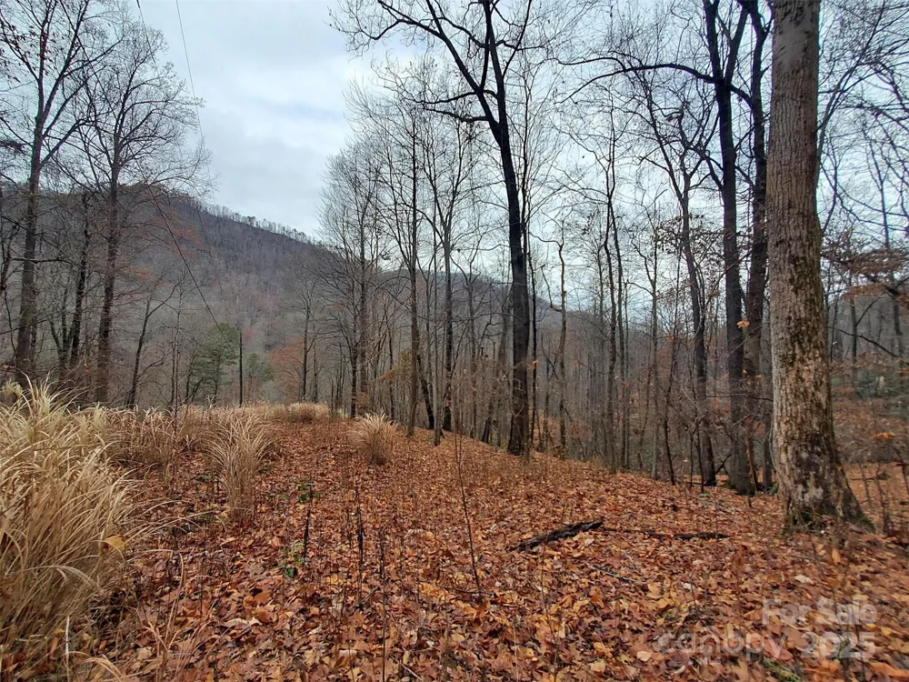 * Green River Cove Road Saluda, NC 28773