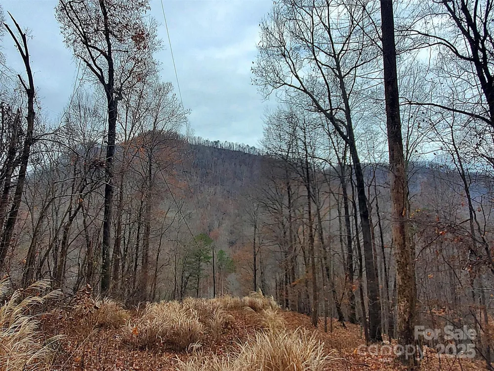 * Green River Cove Road Saluda, NC 28773