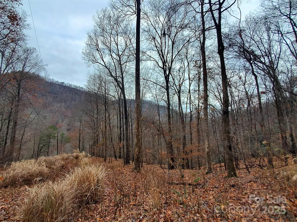 * Green River Cove Road Saluda, NC 28773