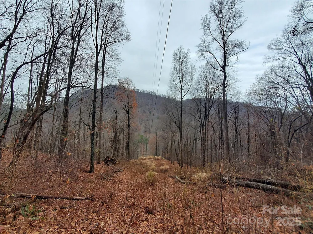 * Green River Cove Road Saluda, NC 28773