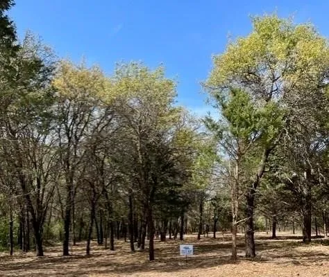 57 Blackjack Parkway