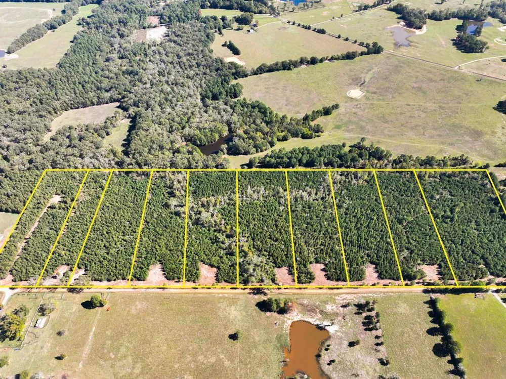 4 Cr 3121 Long Branch, TX 75669