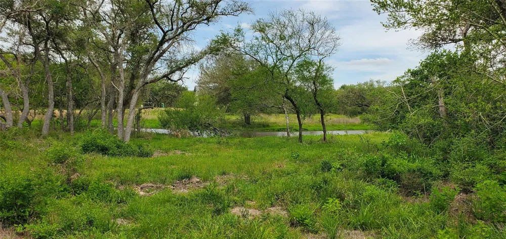Specklebelly Lane Lot 252 Columbus, TX 78934