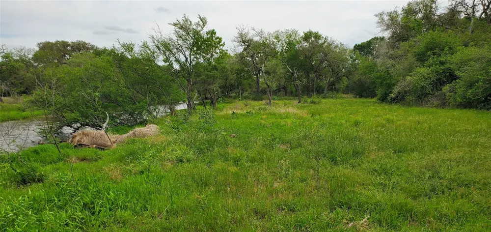 Specklebelly Lane Lot 252 Columbus, TX 78934