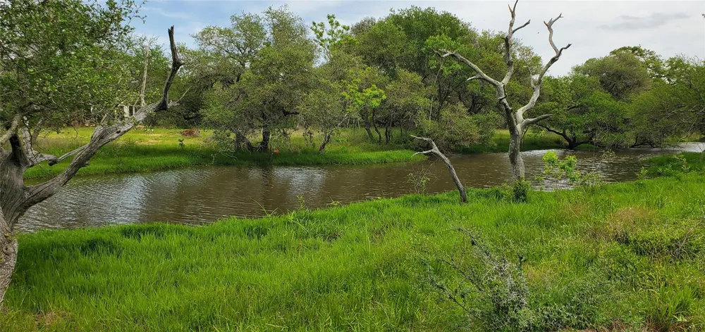 Specklebelly Lane Lot 252 Columbus, TX 78934