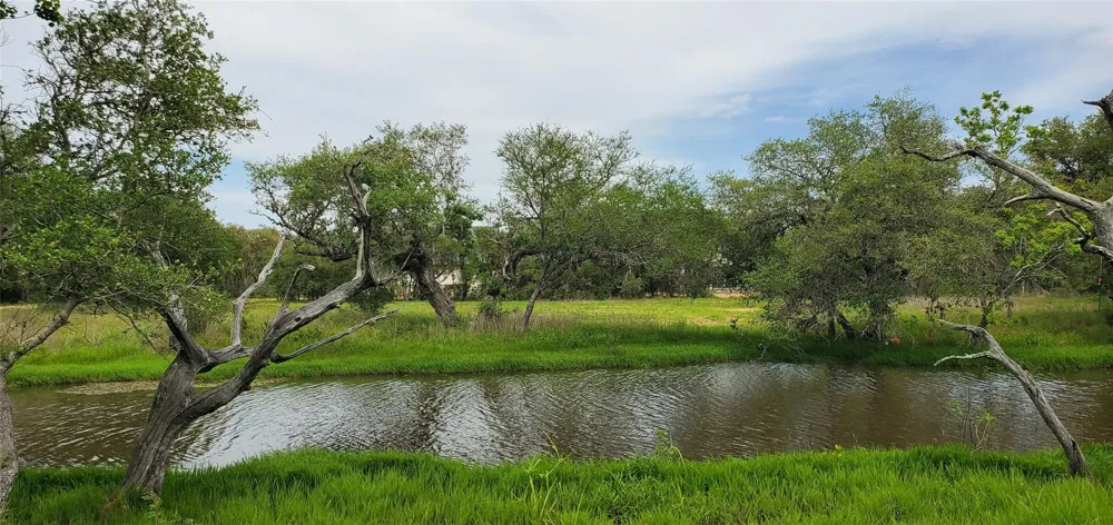 Specklebelly Lane Lot 252 Columbus, TX 78934
