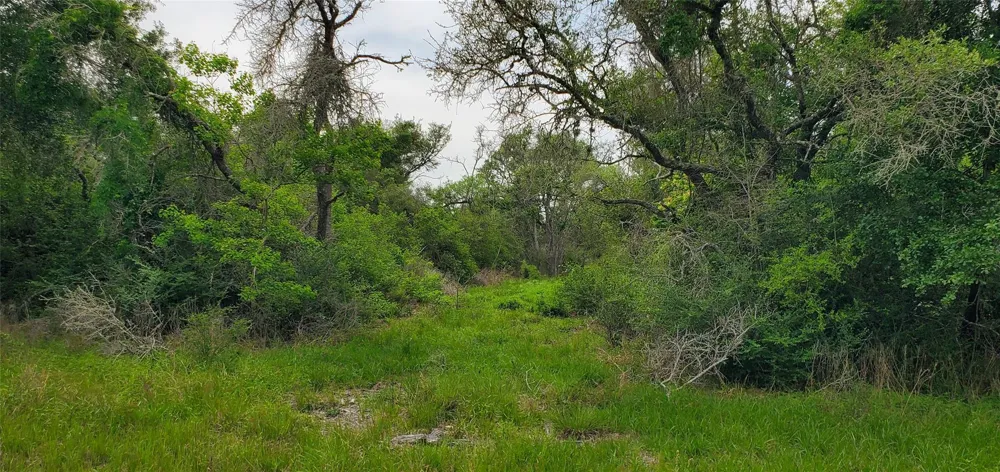 Specklebelly Lane Lot 252 Columbus, TX 78934