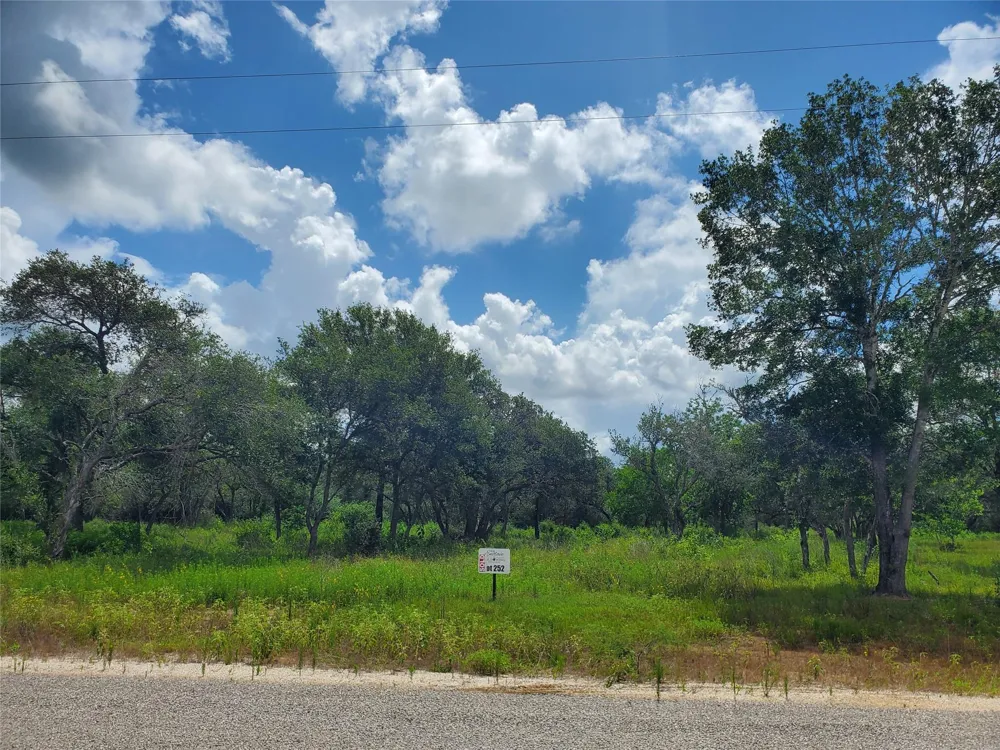 Specklebelly Lane Lot 252 Columbus, TX 78934