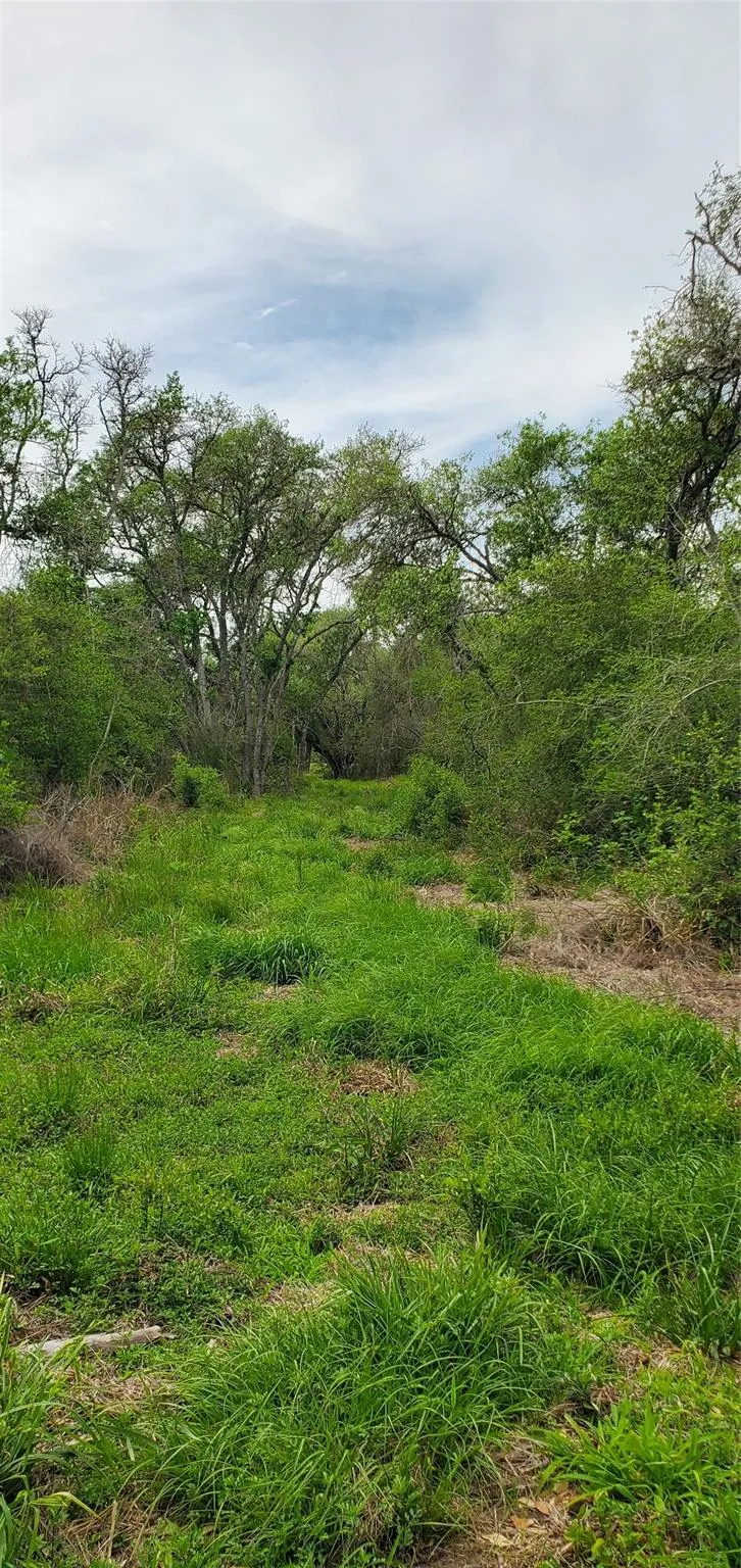 Specklebelly Lane Lot 252 Columbus, TX 78934