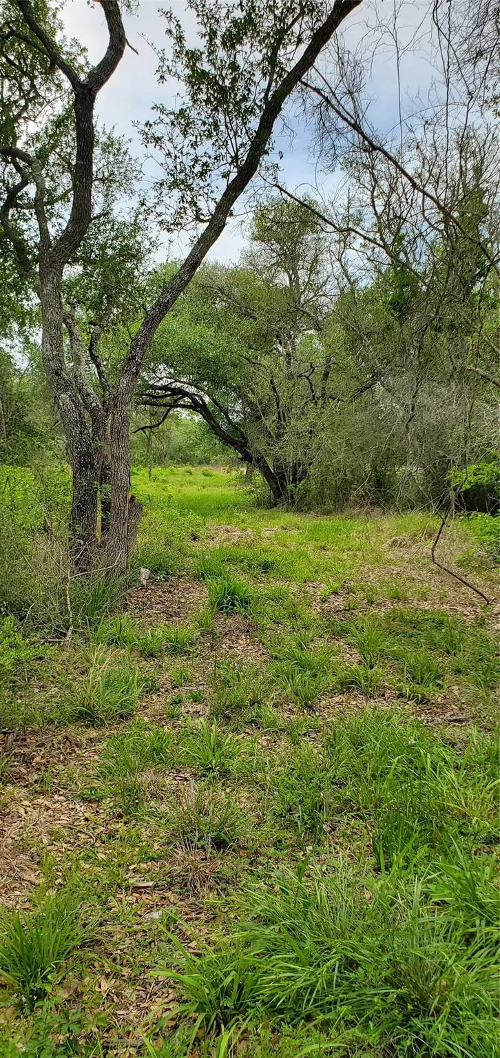Specklebelly Lane Lot 252 Columbus, TX 78934
