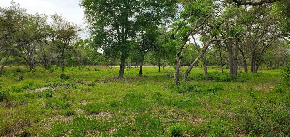 Specklebelly Lane Lot 252 Columbus, TX 78934