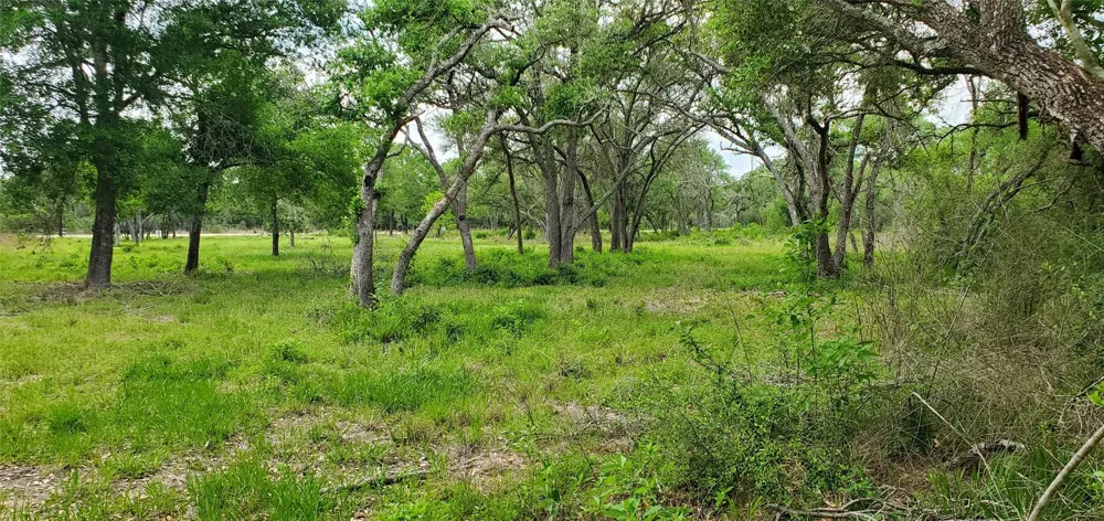 Specklebelly Lane Lot 252 Columbus, TX 78934
