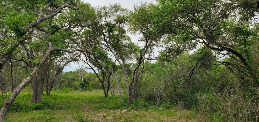 Specklebelly Lane Lot 252 Columbus, TX 78934