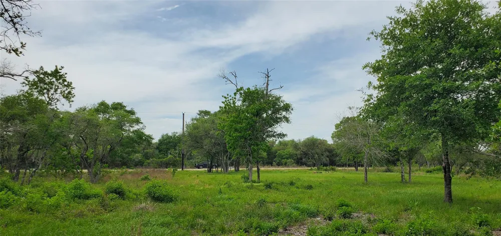 Specklebelly Lane Lot 252 Columbus, TX 78934