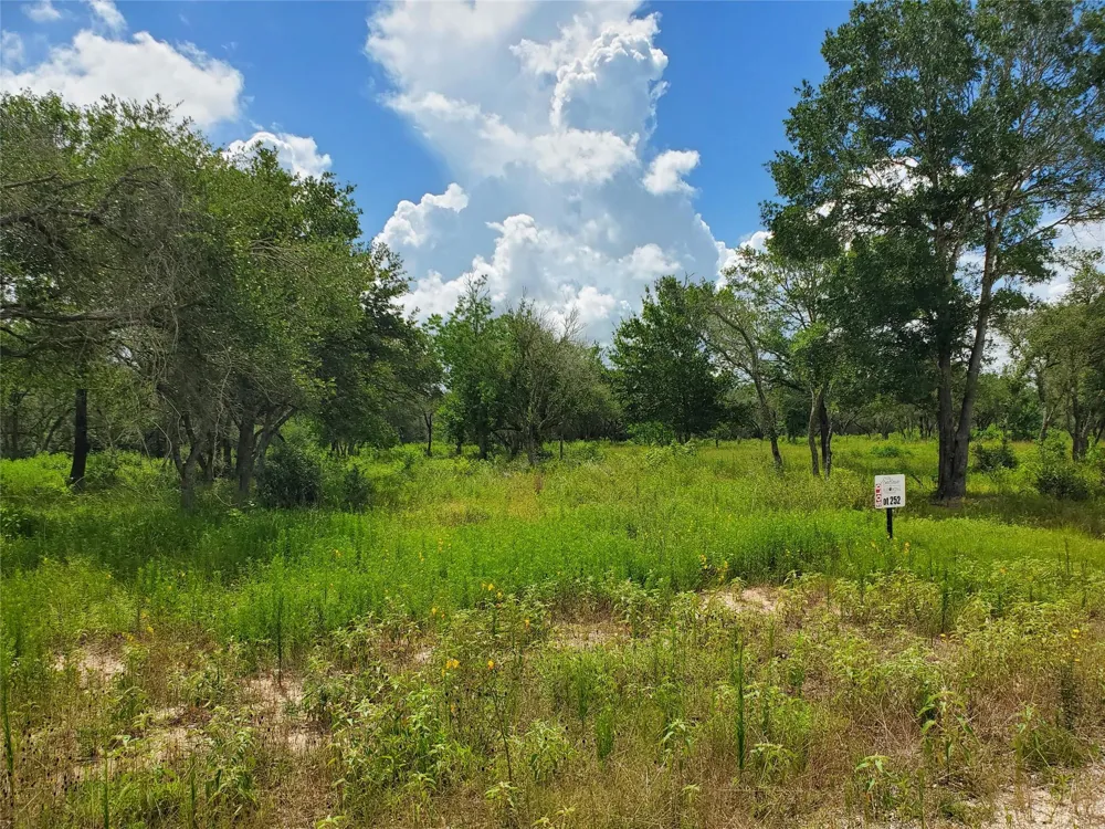 Specklebelly Lane Lot 252 Columbus, TX 78934