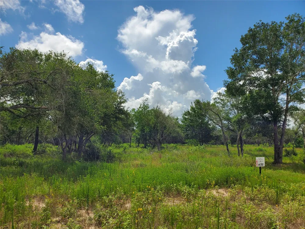 Specklebelly Lane Lot 252 Columbus, TX 78934