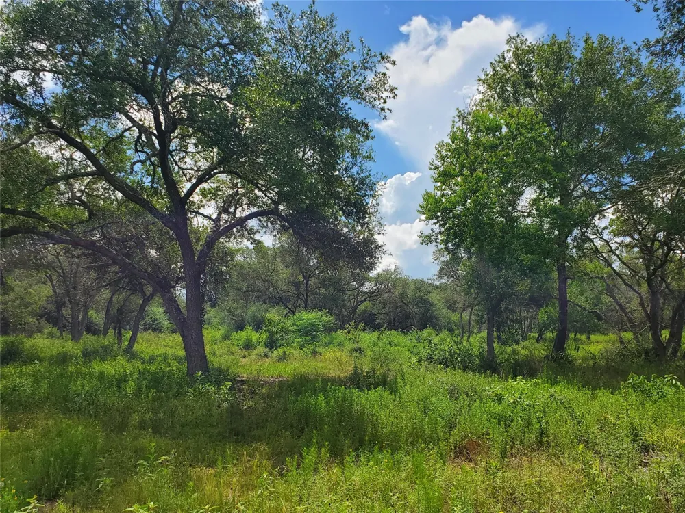 Specklebelly Lane Lot 252 Columbus, TX 78934