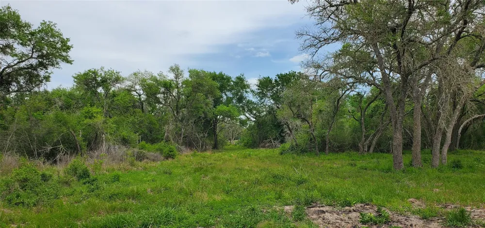 Specklebelly Lane Lot 252 Columbus, TX 78934
