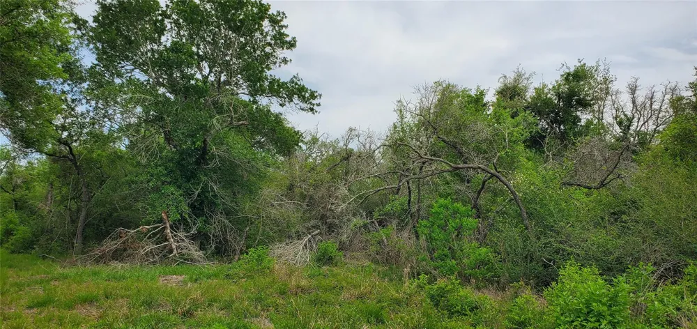 Specklebelly Lane Lot 252 Columbus, TX 78934