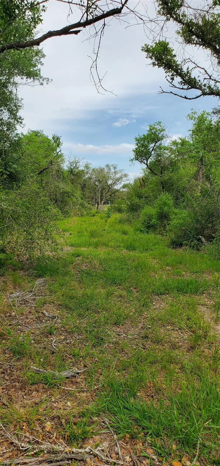 Specklebelly Lane Lot 252 Columbus, TX 78934