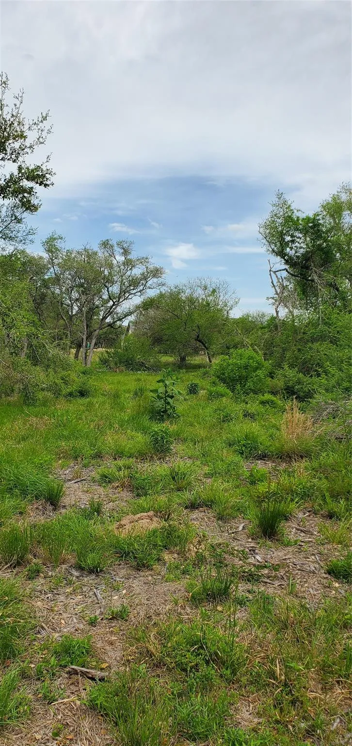 Specklebelly Lane Lot 252 Columbus, TX 78934
