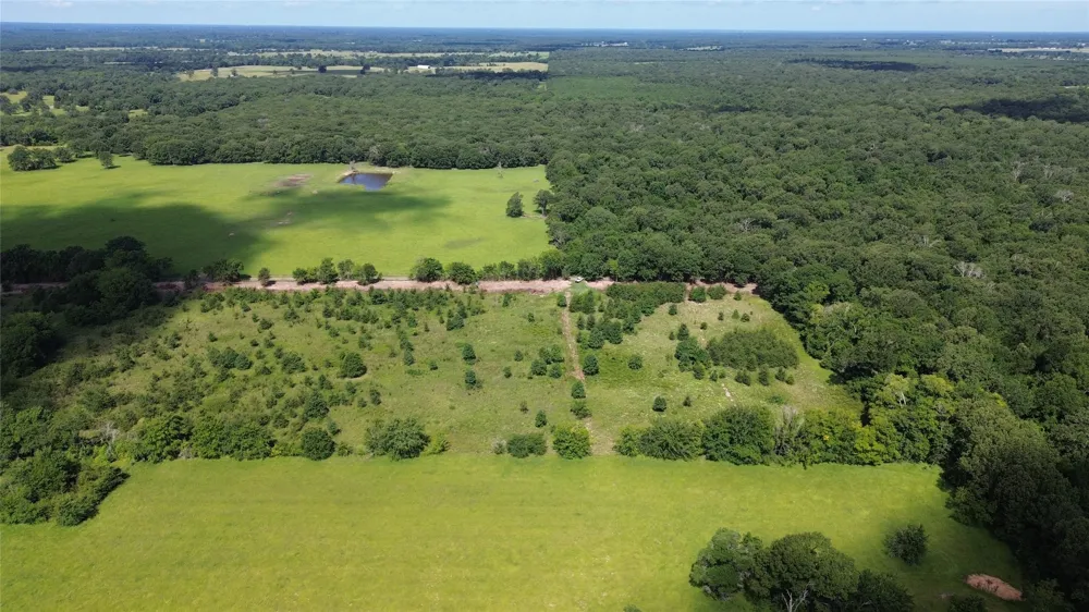 Rs County Road 2470 Emory, TX 75440