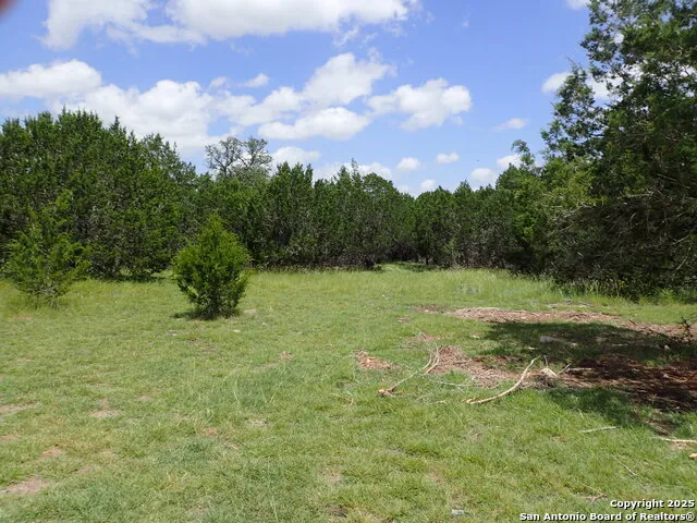 21 Tracie Lakehills, TX 78063