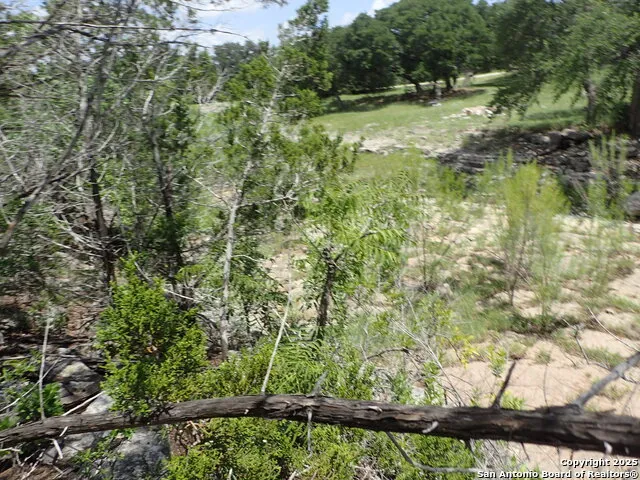 21 Tracie Lakehills, TX 78063
