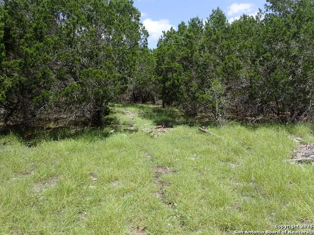 21 Tracie Lakehills, TX 78063