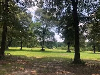 Counts Road Point Blank, TX 77364